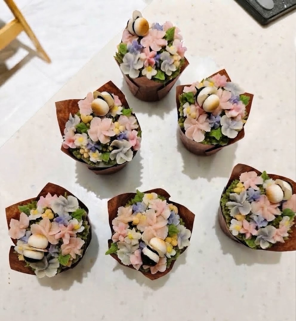 新照片